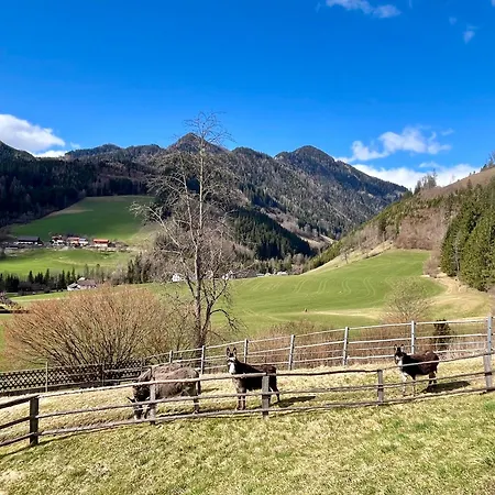 Am Hofacker * Aflenz Kurort